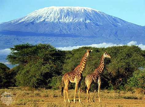 Mount Kilmanjaro
